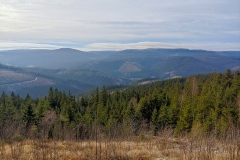 Blick zum Rennsteig