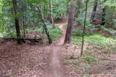 Trails