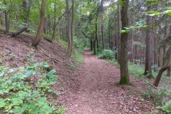 Trails