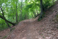 trails