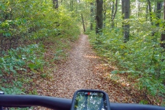 Trails